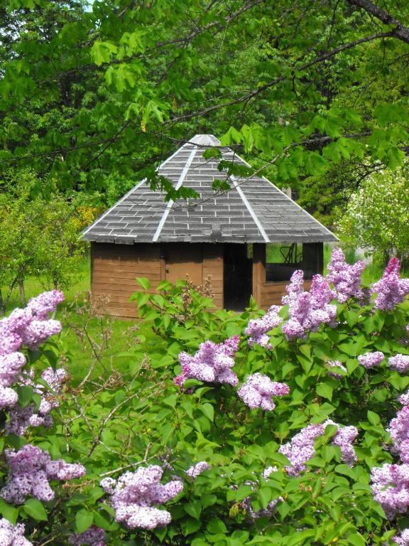 Lake Trail Guesthouse Cumberland Luaran gambar